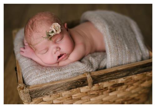 south wales newborn photographer